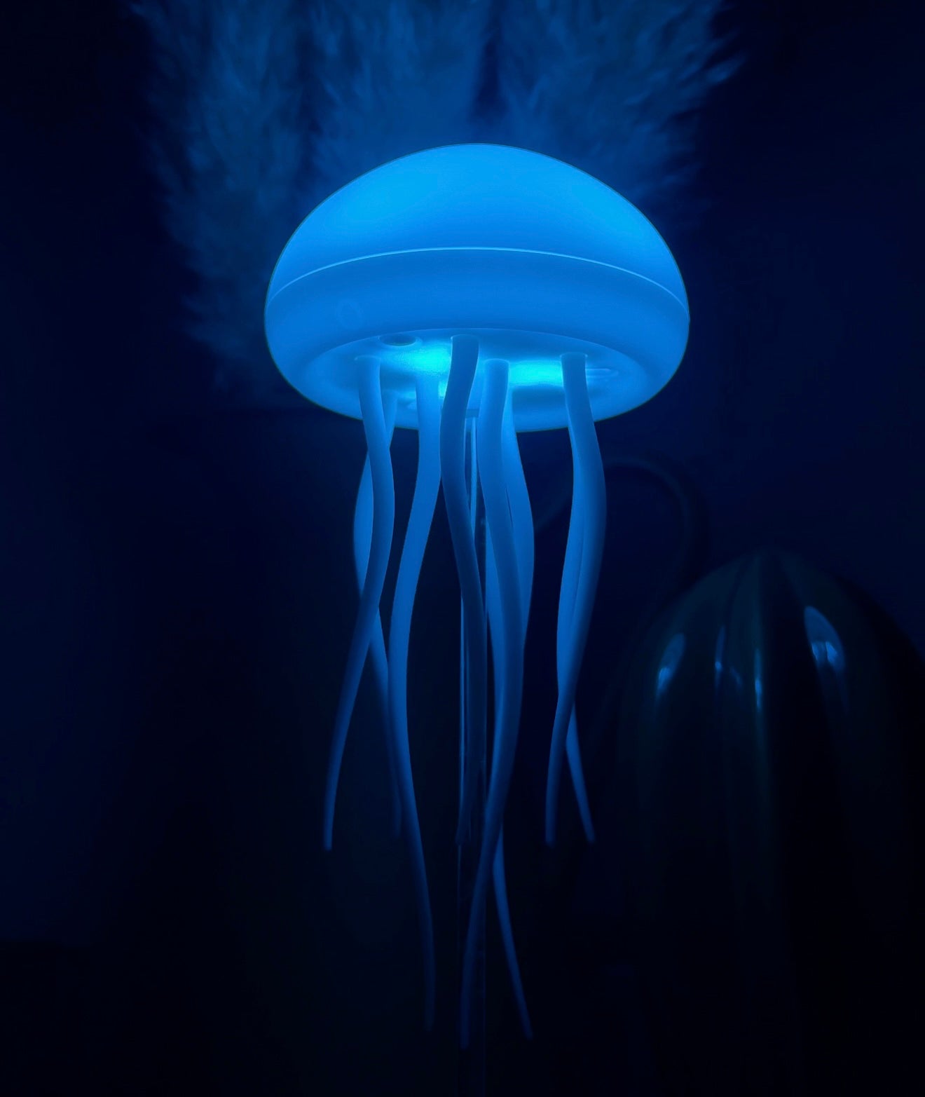 Jellyfish Lamp🪼