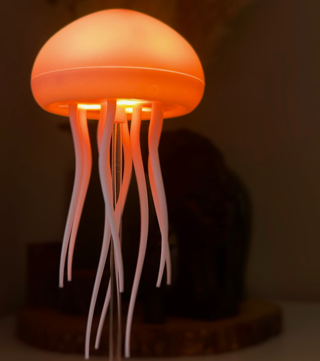 2 Jellyfish Lamps🪼(most popular)